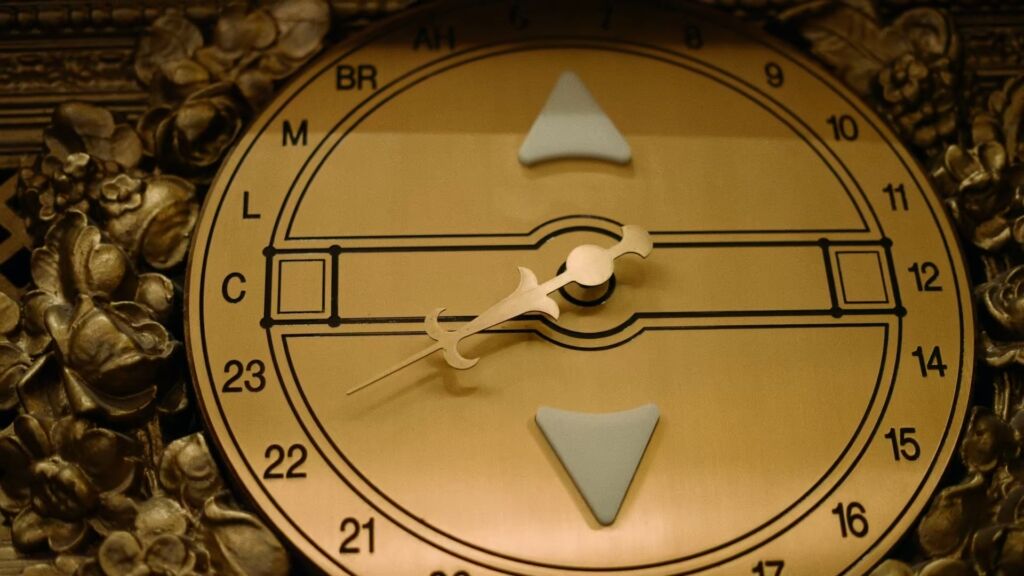 Dance Partner For Life